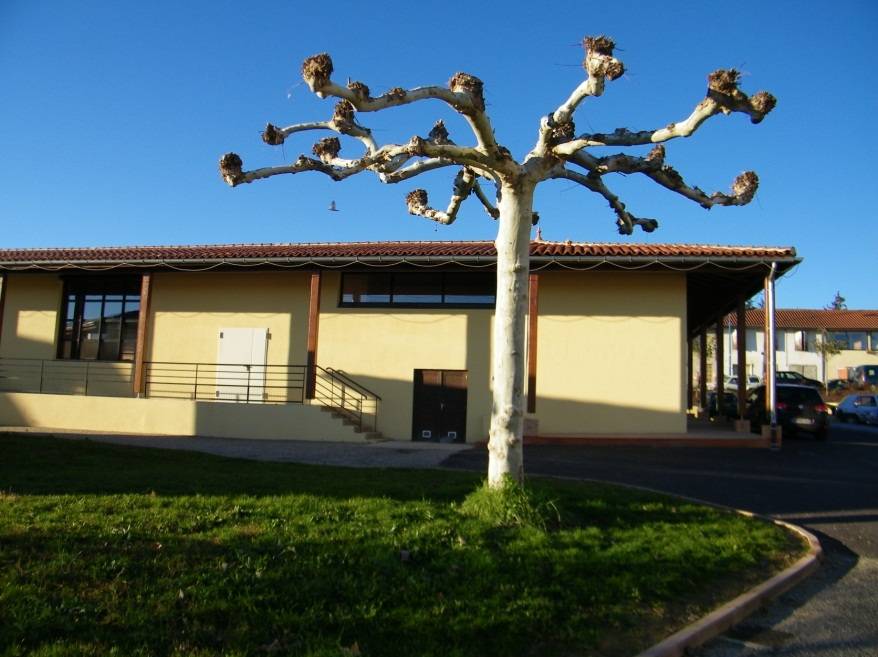 Rénovation énergétique d’une salle des fêtes à SARAMON (32)